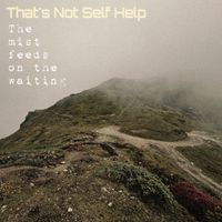 That's Not Self Help - The mist feeds on the waiting