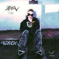 VaVa - 飘 No Roots