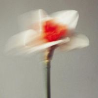 Drogas - Teardrop,Saidmyname.