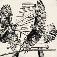 Sam Grassie - Where Two Hawks Fly
