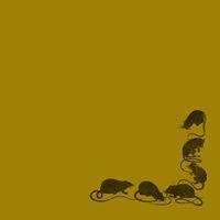 Pure Adult - Pure Adult
