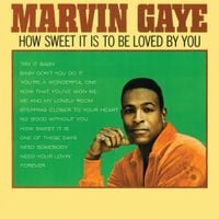 Marvin Gaye - How Sweet It Is to Be Loved by You
