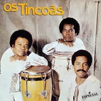 Os Tinco&atilde;s - Os Tinco&atilde;s