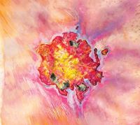 Weeping Sores - False Confession