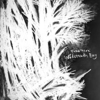FUZZTAZER - Widemouth Bay