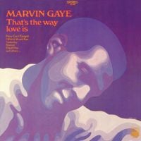 Marvin Gaye - That's the Way Love Is