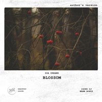 Soa Dreams - BLOSSOM