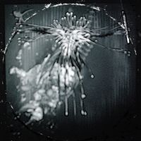 The Emystas Jewel - The Emystas Jewel