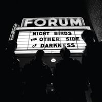 Night Birds - The Other Side of Darkness
