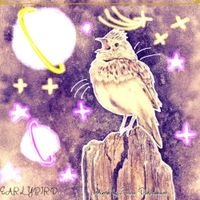 VINDI MU$iC - EARLYBIRD