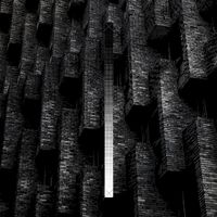 The Asteroid No. 4 - In Praise of Shadows