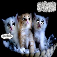 ANGRY METAL BAND - ANGRY METAL BAND