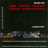 Iancu Dumitrescu - Laboratory