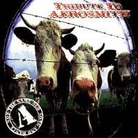 Various Artists - Not the Same Old Song and Dance: Tribute to Aerosmith
