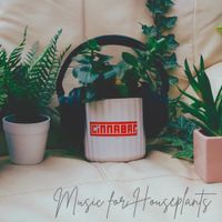 Cinnabar - Music for Houseplants