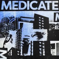 The Zebecks - Medicate