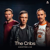The Cribs - The Cribs on Audiotree Live