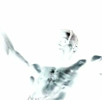 Spectre - 18 YEARS
