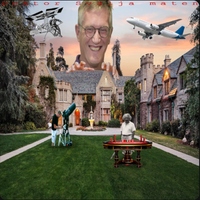Doktor Sv&auml;lja Maten - disktrasa