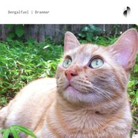 Bengalfuel - Braemar