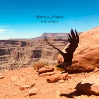 Tequila Maison - Aire Muerto