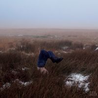 thistle. - pylon