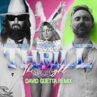 S&eacute;bastien Tellier - Thrill of the Night (David Guetta Remix)