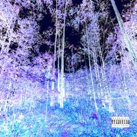 i-Ball - Psychedelic Forest