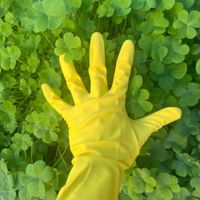 Yandie Gotam - Spring Cleaning