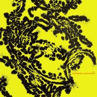 Arash Moori - Exothermic