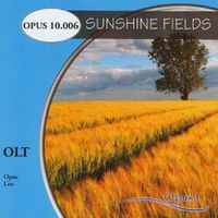 Miriam Mayer - Sunshine Fields