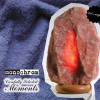 monochrom - Carefully Selected Moments