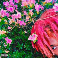 $ir Abe - Blow My High + Pink Everywhere