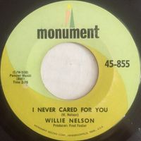 Willie Nelson - I Never Cared for You