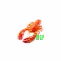 ผ้าอ้อม99999 [pa-o-mu99999] Albums, Songs - Discography - Album of