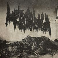 Metrorrhagia - Carbonized Isolation