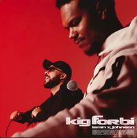 Lamin - Kig Forbi