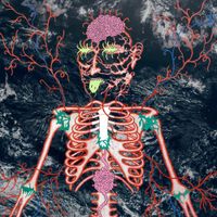 Yoink - Interactome