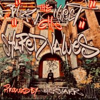 Blizz The Illest - Shared Values