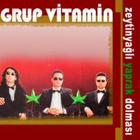 Grup Vitamin - Zeytinyağlı Yaprak Dolması