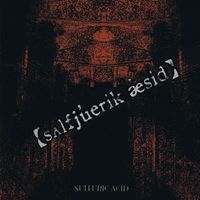 SULFURIC ACID - 【sʌlfju̓rik &aelig;̓sid】
