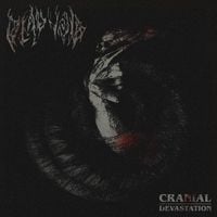 Dead Void - Cranial Devastation