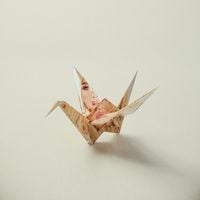 Kesha - ORIGAMI!