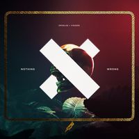 DROELOE X Vinzere - Nothing Wrong