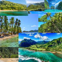 Extremely Sloppy Productions - TROPICAL://PLAZA://RAINFOREST&BEACH