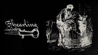 Shearling - Live @ The Lexington