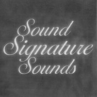 Theo Parrish - Sound Signature Sounds