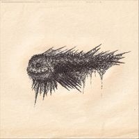 Snailfish - Snailfish