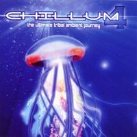 Various Artists - Chillum Vol. 4