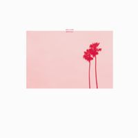 Mike Cooper - Rayon Hula (15th Anniversary Edition)